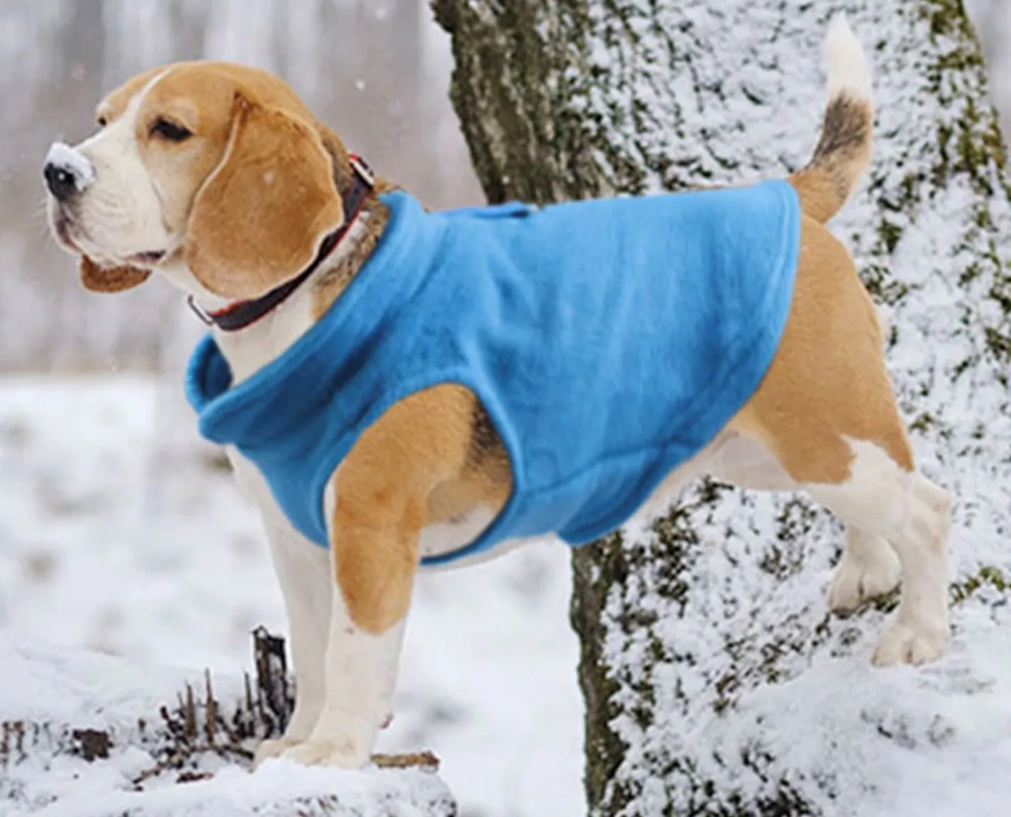 Warm Fleece Pet Coat